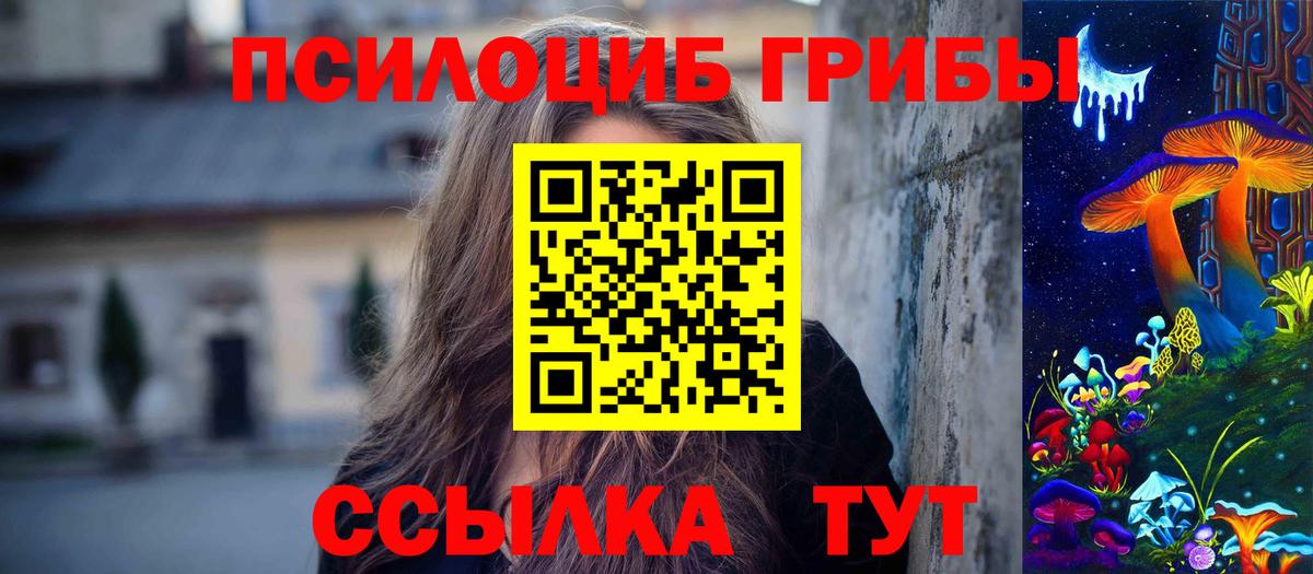 Псилоцибиновые грибы GOLDEN TEACHER  Вход с VPN  Псилоцибиновые грибы MAGIC MUSHROOMS  где продают наркотики  Муравленко 