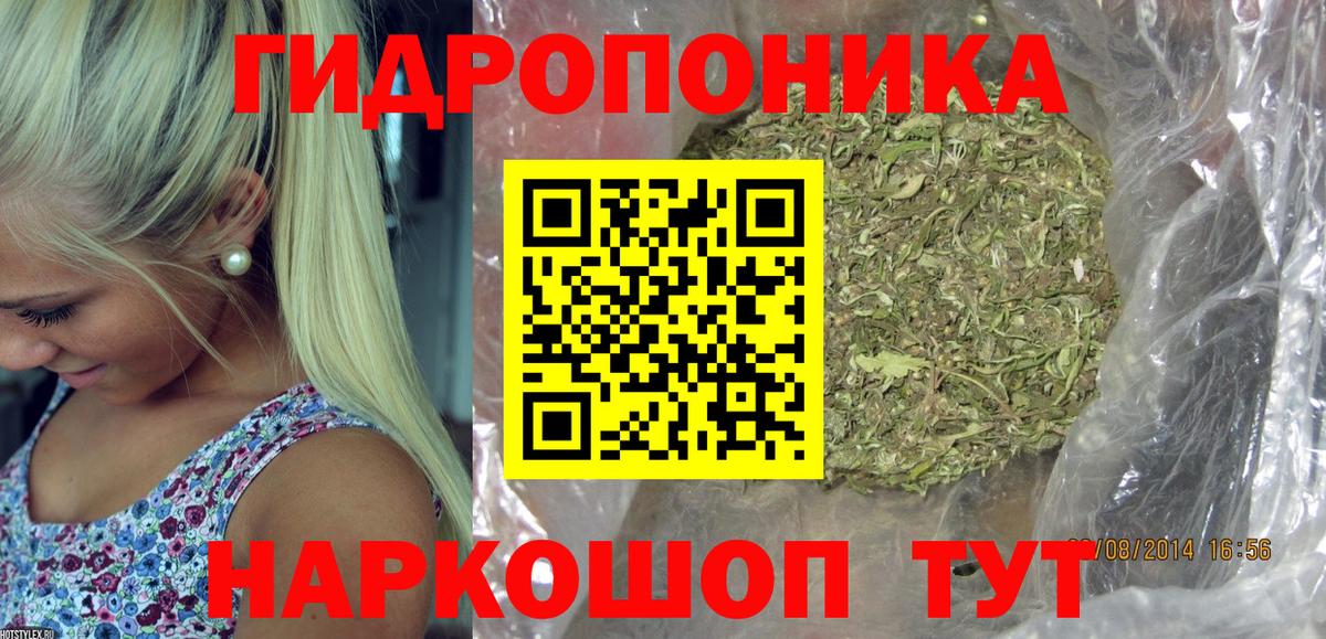 Конопля MAZAR Муравленко